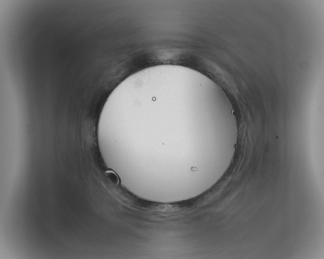 X0000111490421200907211013