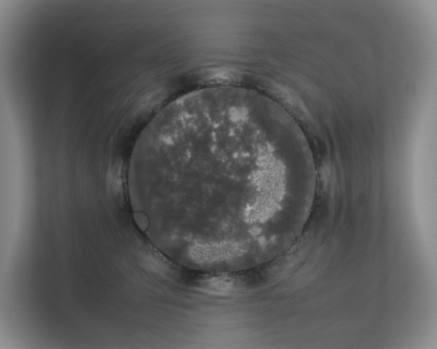 X0000111490423200907211013