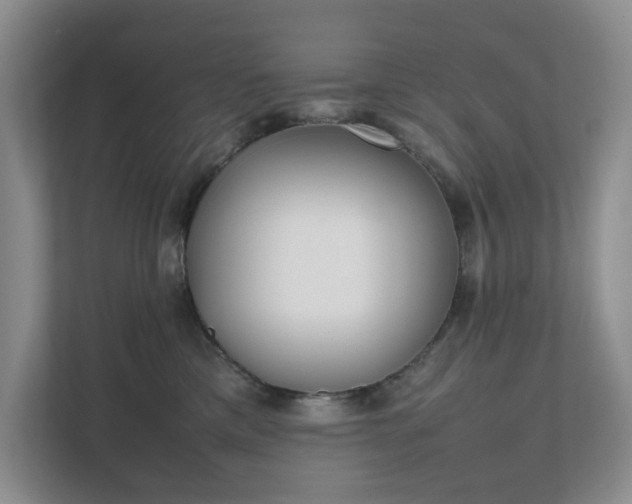 X0000111490425200907211013