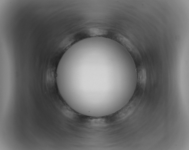 X0000111490426200907211013