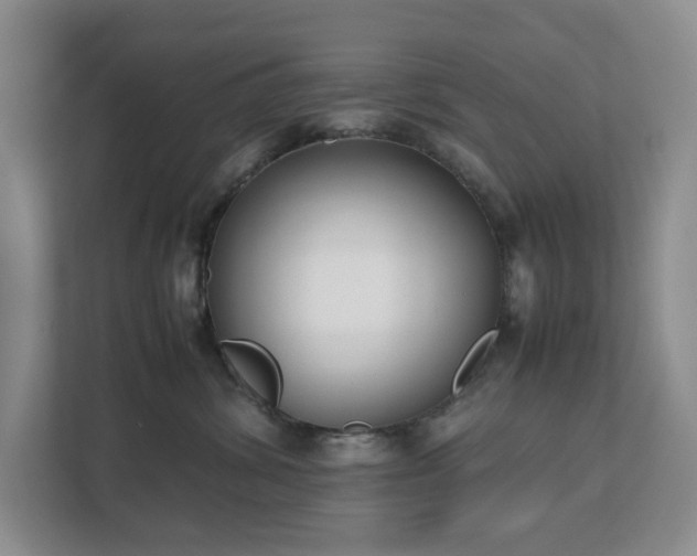 X0000111490428200907211013