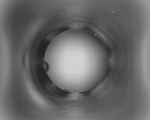 X0000111490429200907211013