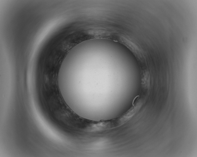 X0000111490430200907211013