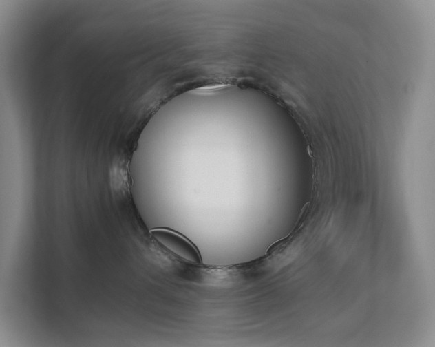 X0000111490432200907211013