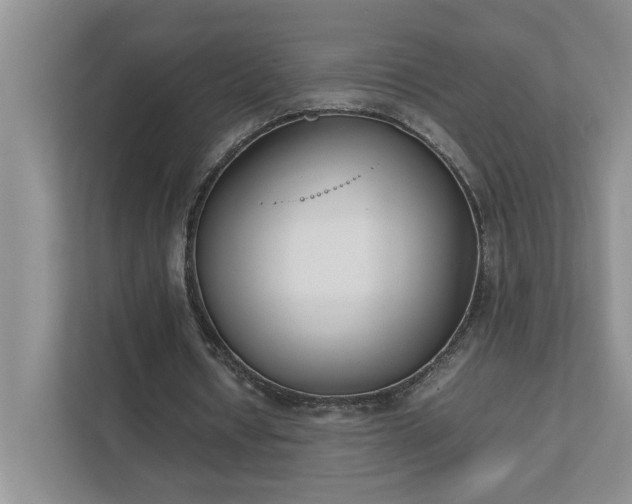 X0000111490434200907211013