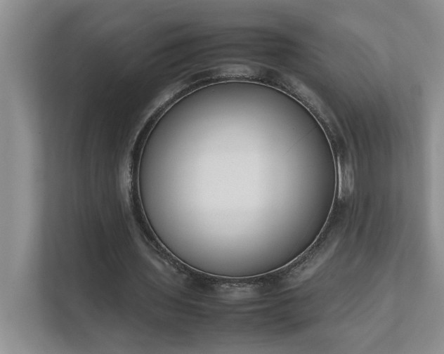 X0000111490435200907211013