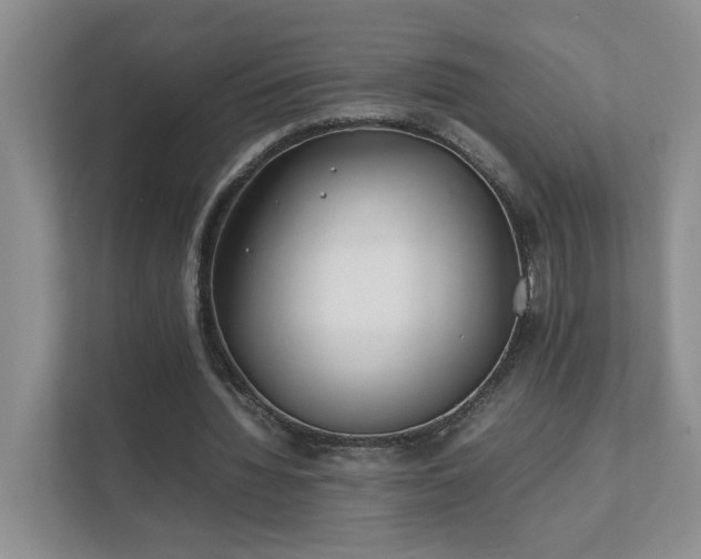 X0000111490436200907211013