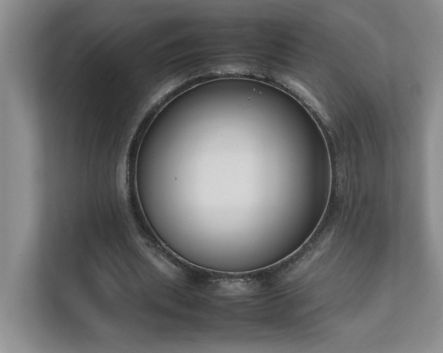 X0000111490439200907211013