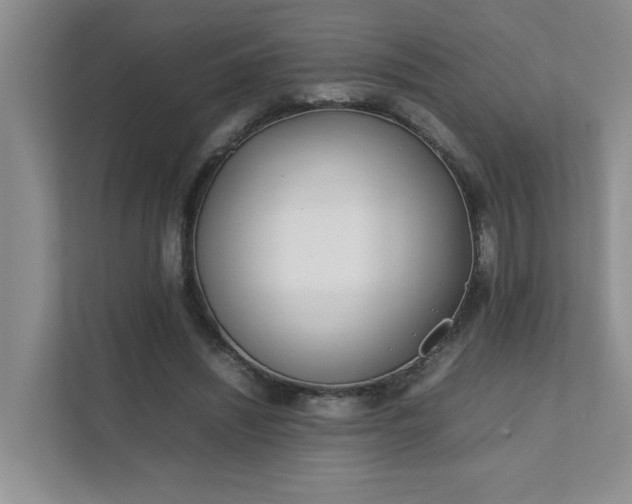 X0000111490444200907211013