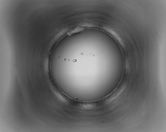 X0000111490445200907211013