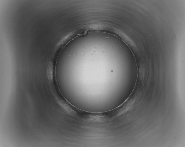 X0000111490446200907211013