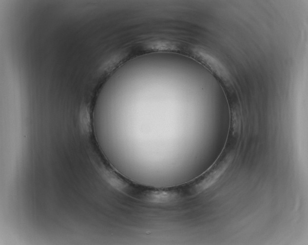 X0000111490453200907211013