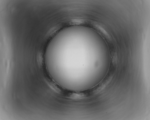 X0000111490455200907211013