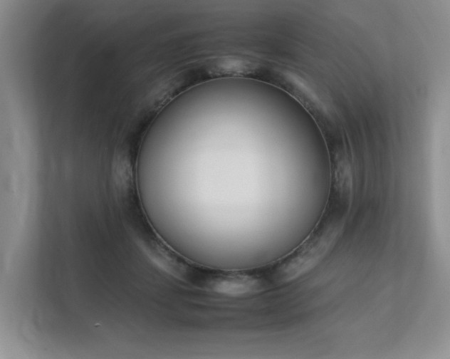 X0000111490459200907211013