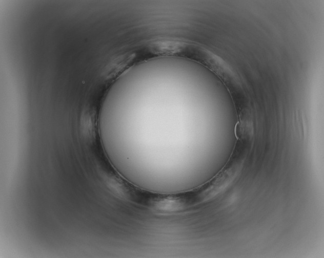 X0000111490460200907211013