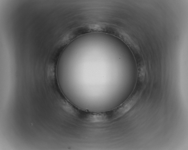 X0000111490466200907211013