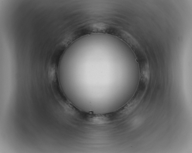 X0000111490468200907211013