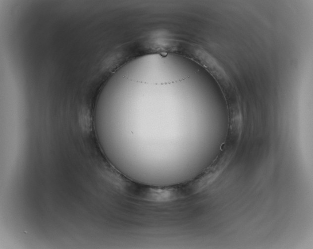 X0000111490469200907211013