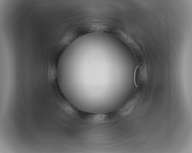 X0000111490474200907211013