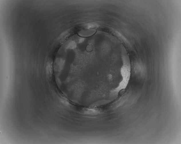 X0000111490475200907211013