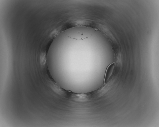 X0000111490478200907211013