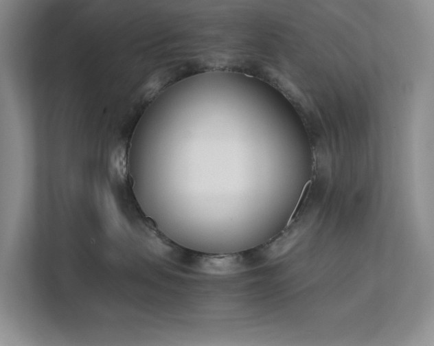 X0000111490479200907211013