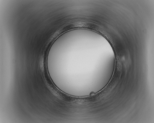 X0000111490482200907211012