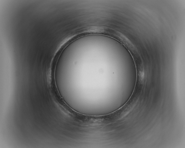 X0000111490484200907211012