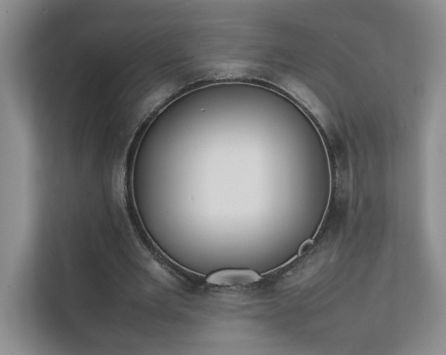 X0000111490485200907211012