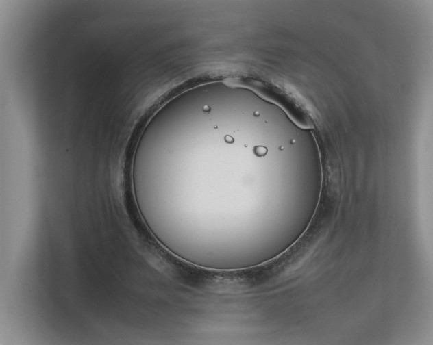 X0000111490487200907211012