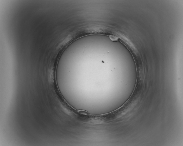 X0000111490489200907211012