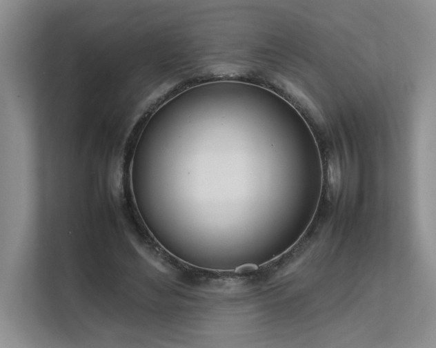 X0000111490492200907211012