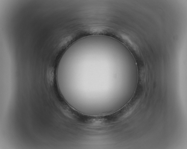 X0000111490495200907211012