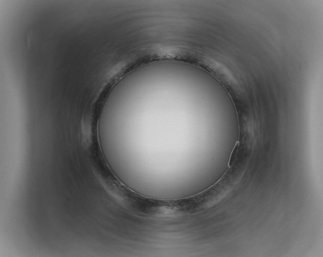 X0000111490496200907211012