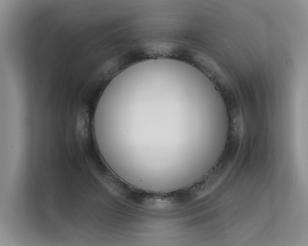 X0000111490498200907211012