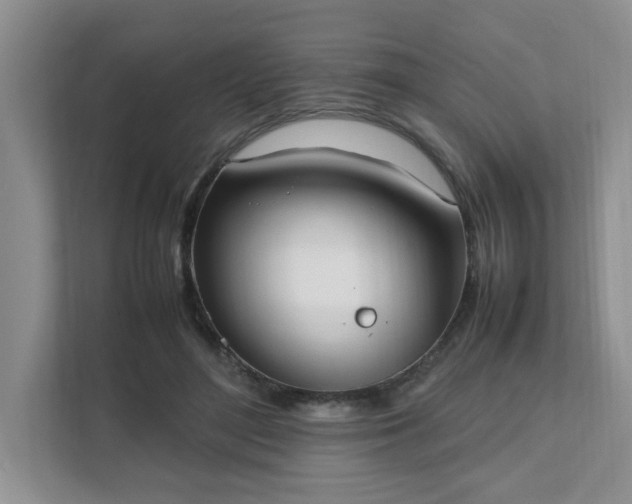 X0000111490500200907211012