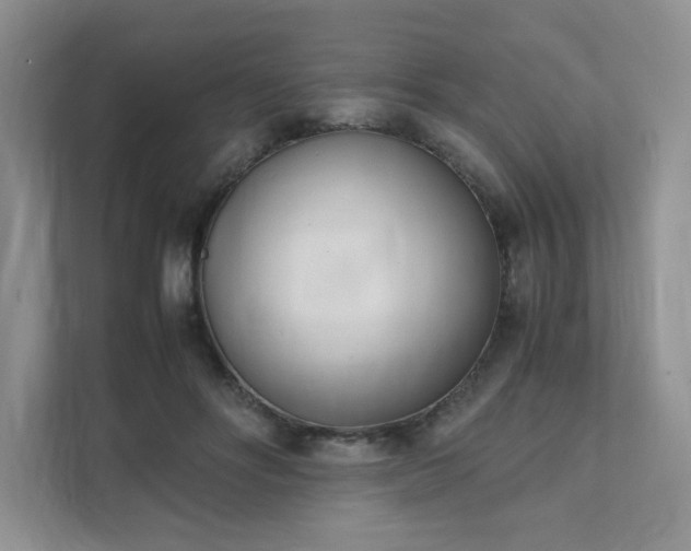 X0000111490502200907211012