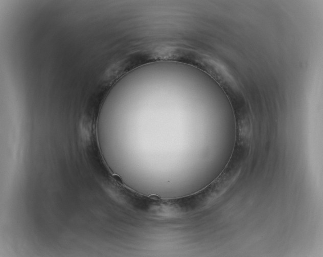 X0000111490503200907211012