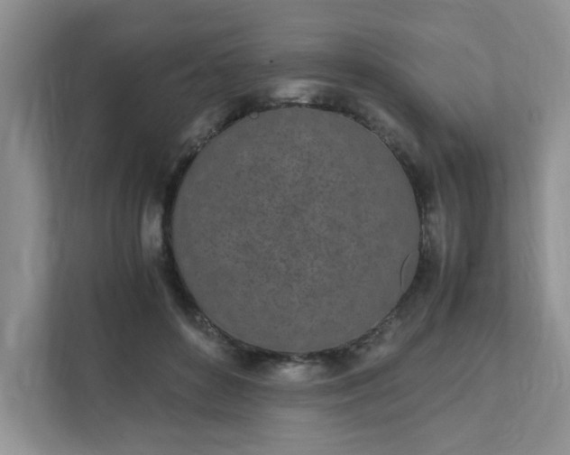 X0000111490504200907211012