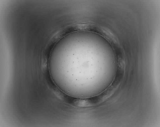 X0000111490507200907211012