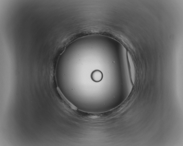 X0000111490509200907211012