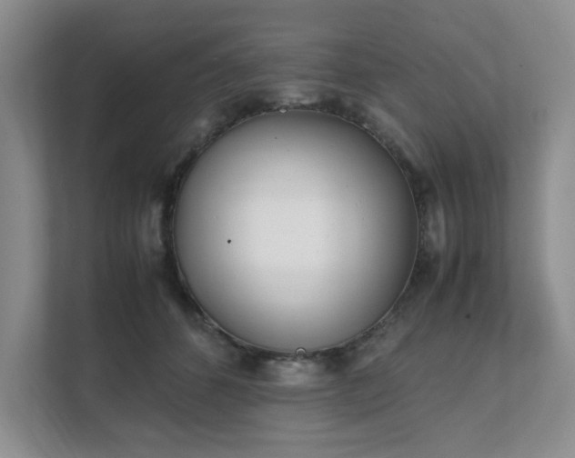 X0000111490512200907211012