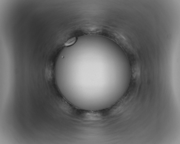 X0000111490515200907211012