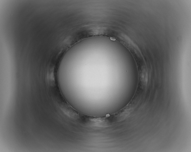 X0000111490516200907211012