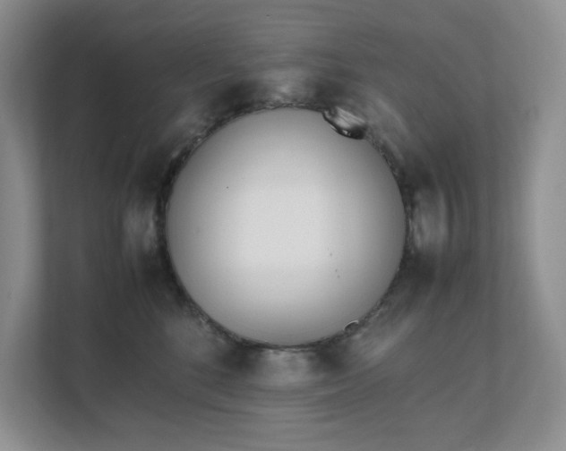 X0000111490520200907211012