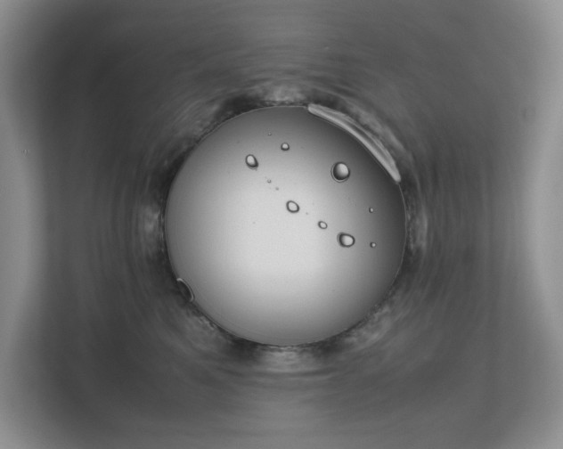 X0000111490521200907211012