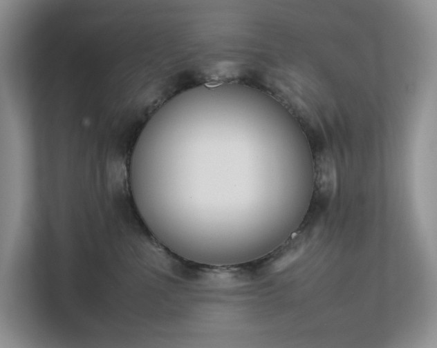 X0000111490523200907211012