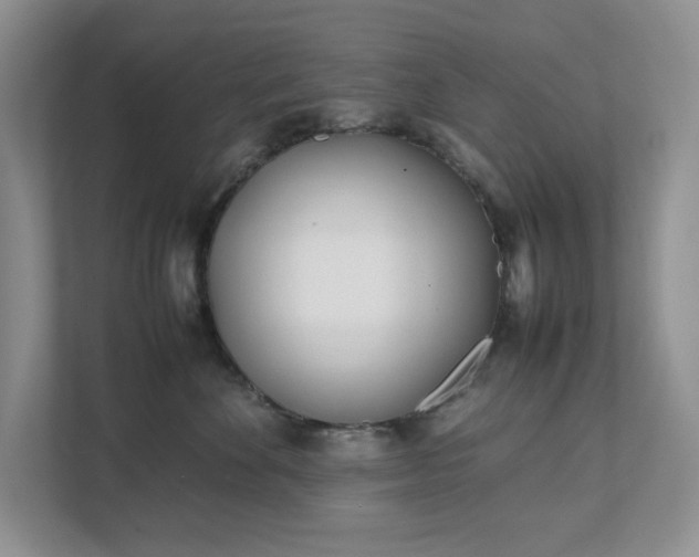 X0000111490524200907211012