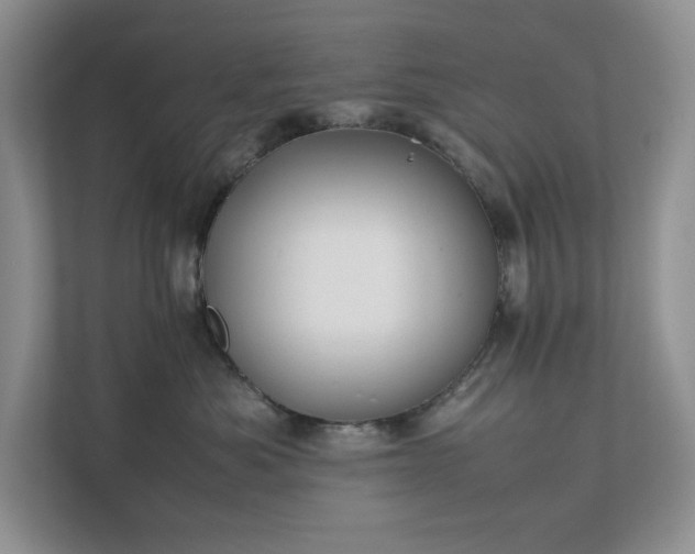 X0000111490525200907211012