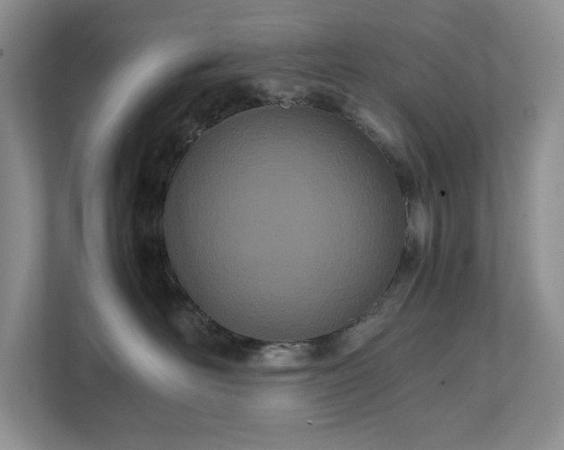 X0000111490526200907211012